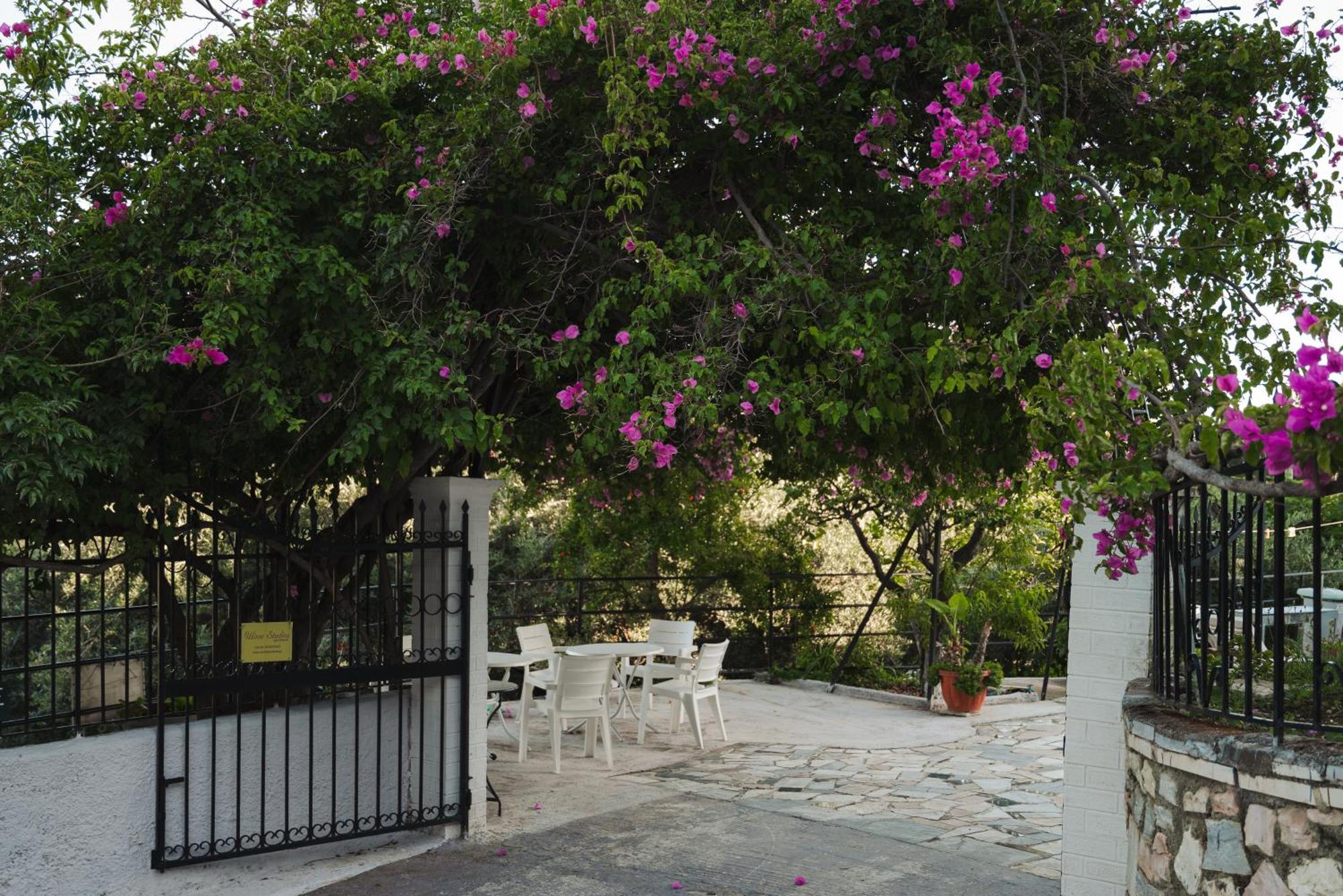 Ulisse Apartments Palaiokastritsa Exterior foto